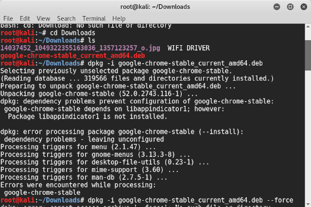 step-by-step-installation-of-google-chrome-in-kali-linux-2-x-or-2016-2-and-higher