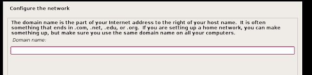 Leave domain field blank or put your doamin name if u have any